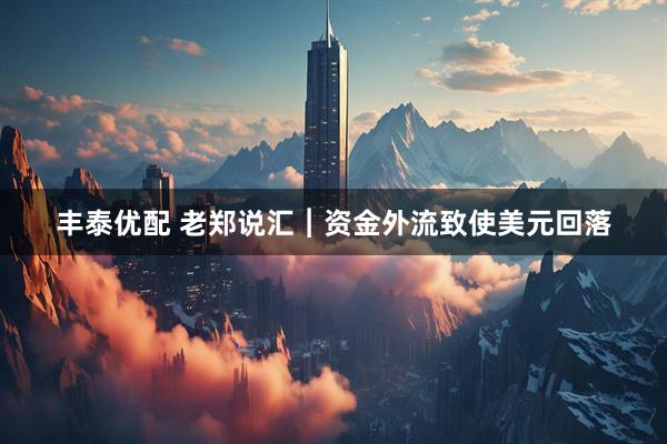 丰泰优配 老郑说汇︱资金外流致使美元回落