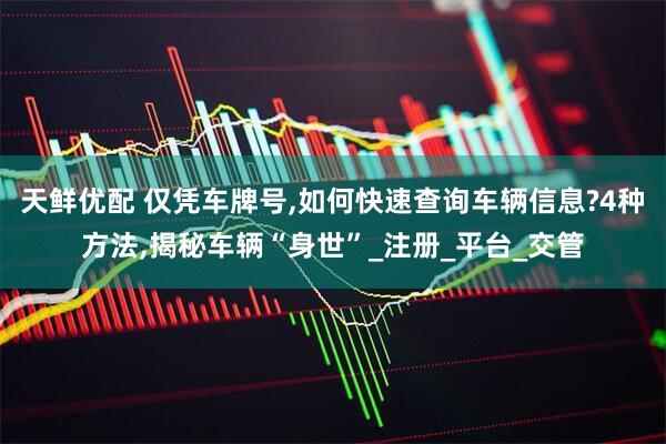 天鲜优配 仅凭车牌号,如何快速查询车辆信息?4种方法,揭秘车辆“身世”_注册_平台_交管