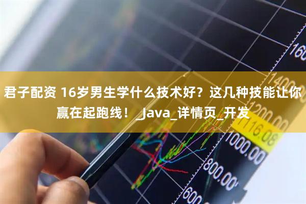 君子配资 16岁男生学什么技术好？这几种技能让你赢在起跑线！_Java_详情页_开发