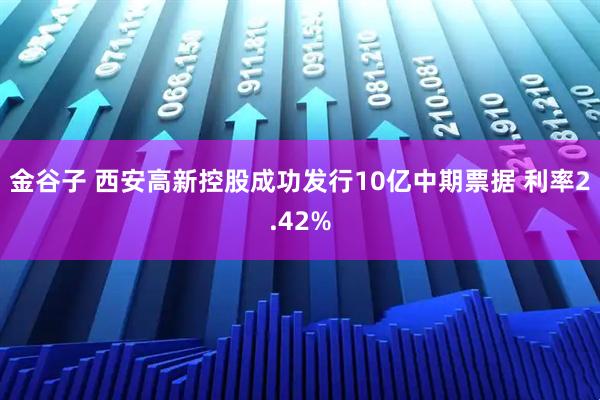 金谷子 西安高新控股成功发行10亿中期票据 利率2.42%
